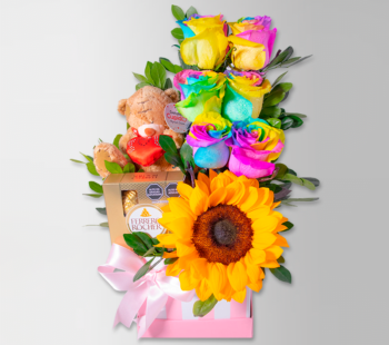 6 rosas en box + Peluche + Chocolate + +