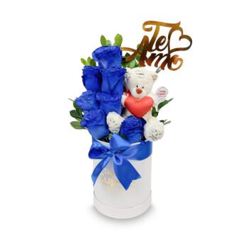 7 Rosas naturales + peluche en box