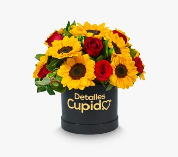 6 Girasoles + 9 rosas en box