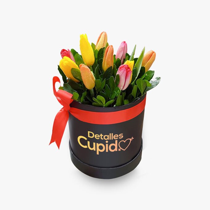 10 Tulipanes + gerberas en box